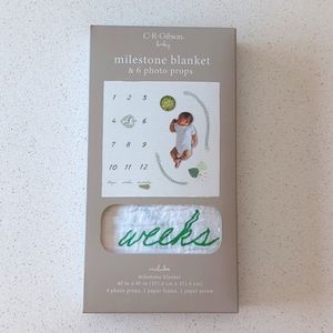 3/$15 C.R. Gibson Baby Milestone Blanket and 6 photo props NIB